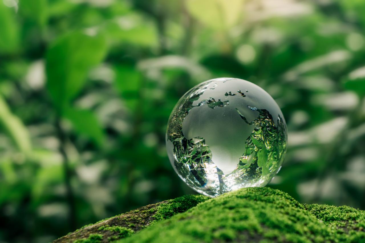 Sustentabilidad